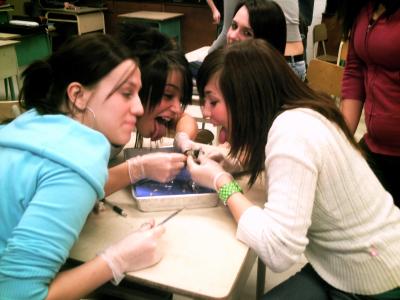 DisecTion Time !!!