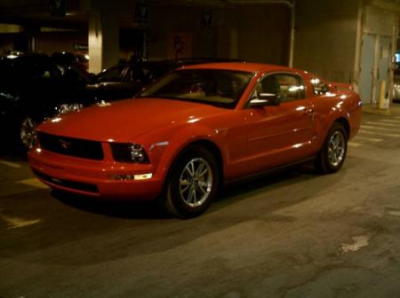 Mustang